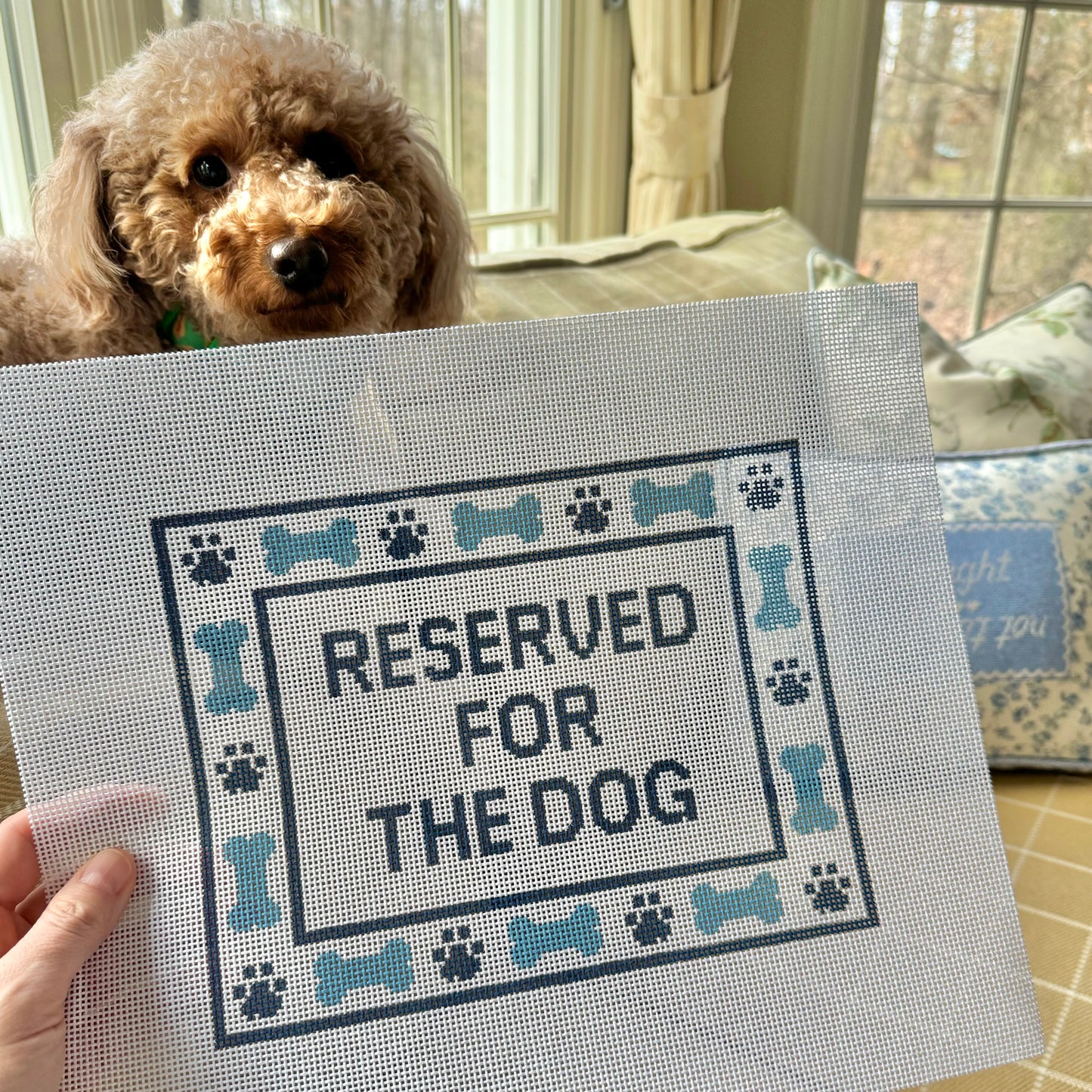Reserved for the Dog