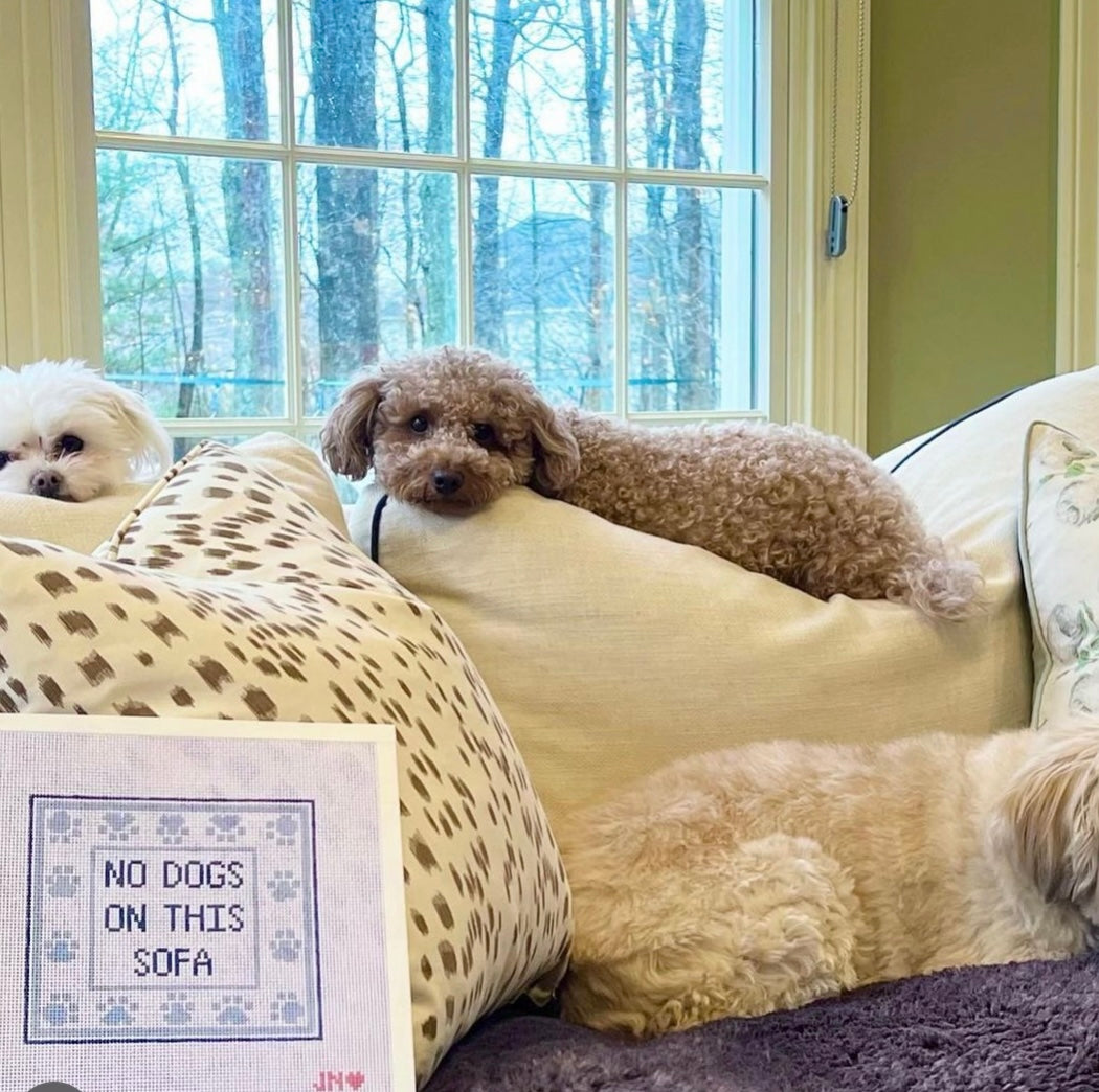 No Dogs On This Sofa Needlepoint Canvas