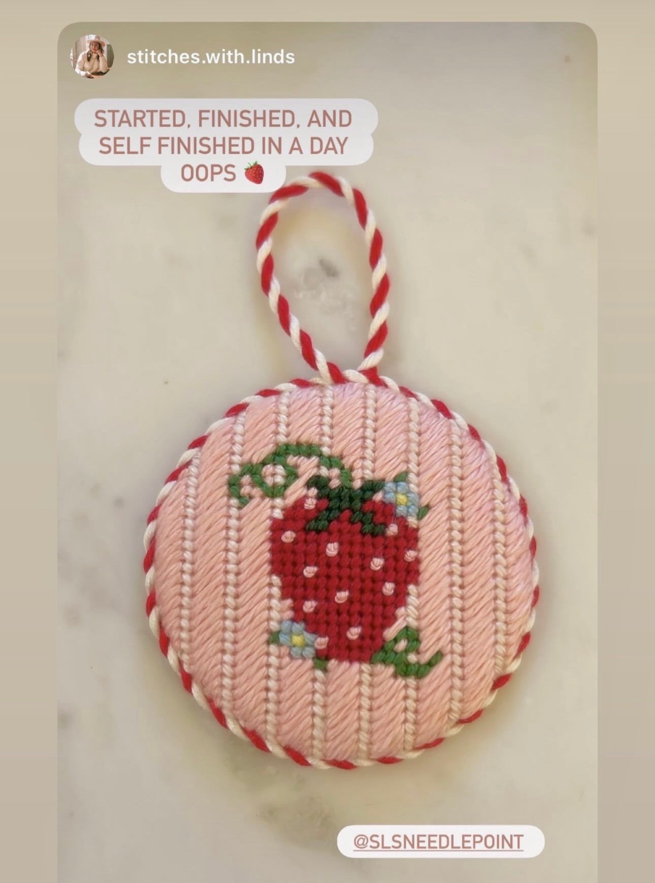 Beginner Strawberry Needlepoint Canvas - Pink